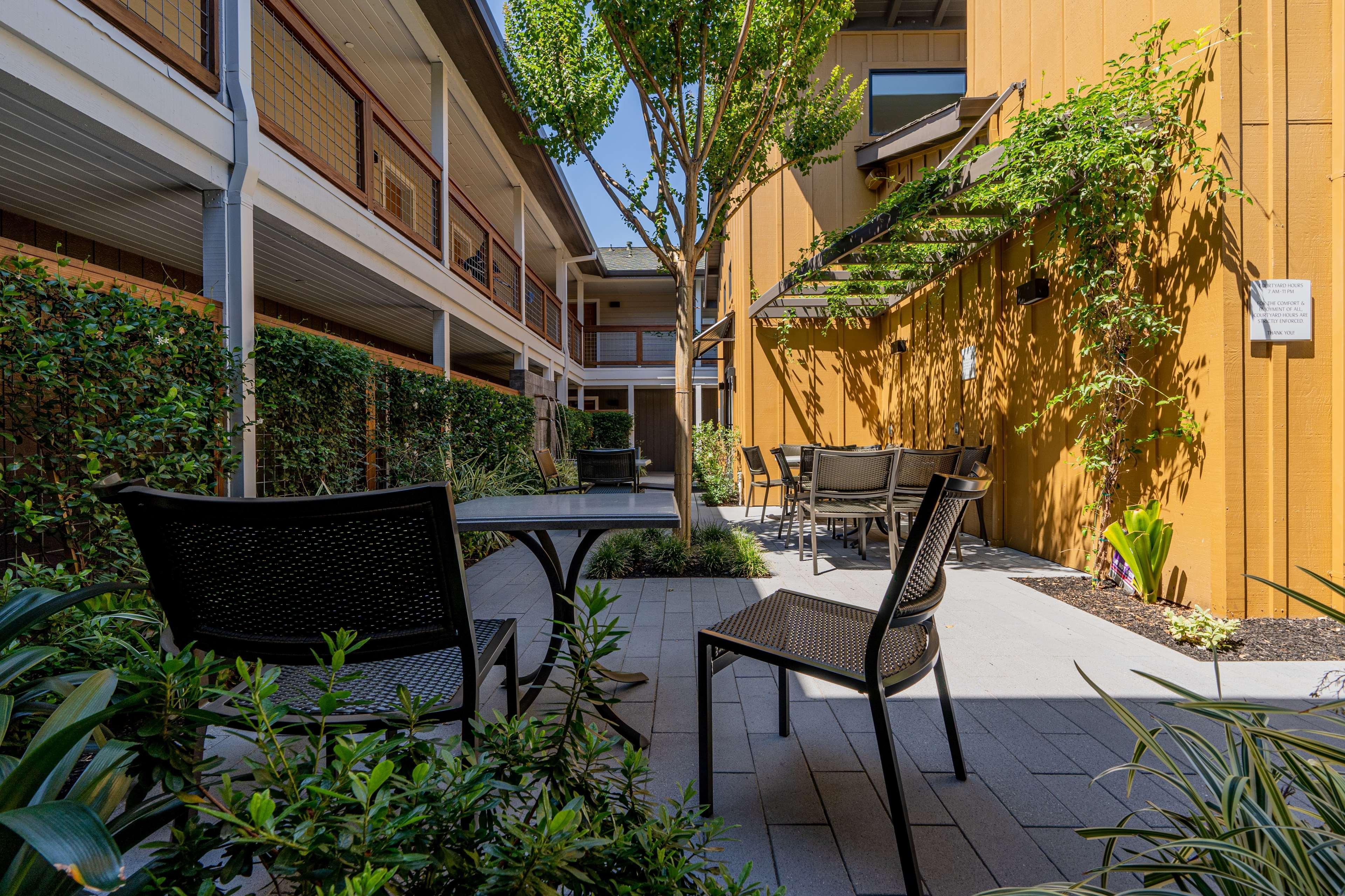 Best Western Plus Stevenson Manor Calistoga Luaran gambar
